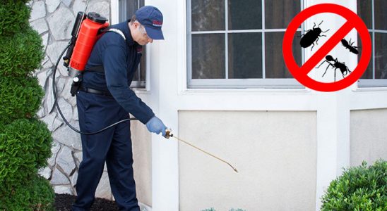 Söğütlü Böcek İlaçlama böcek ilaçlama ve haşere kontrolü — ilaclama-tr.com